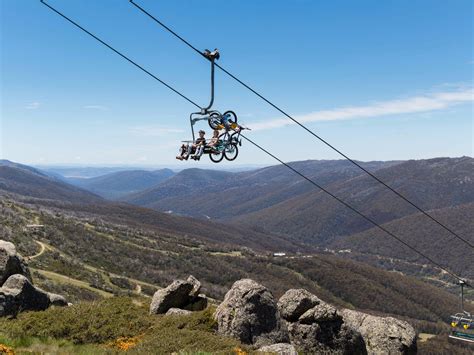 Cannonball Downhill Trail Nsw Holidays And Accommodation Things To Do