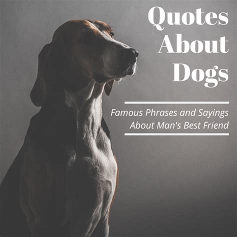 Famous Quotes About Dogs Holidappy