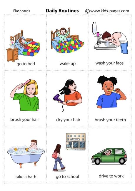 Daily Routines Flashcard