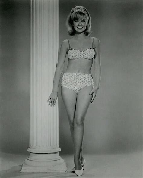 Pin On Shelley Fabares