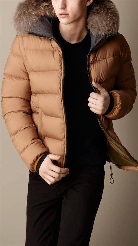 Burberry Fur Trim Downfilled Puffer Jacket In Brown For Men Lyst