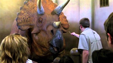 Triceratops Encounter Youtube