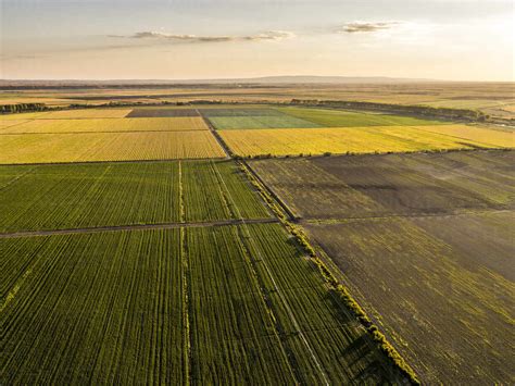 Aerial View Of Vast Agricultural Farm Fields At Summer Sunset Stock Photo