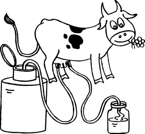 Milking Cow Coloring Pages Color Luna