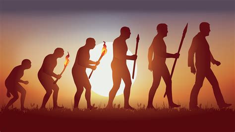 Palaeontologists Reveal New Factors Behind Human Evolution