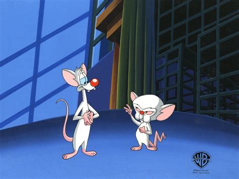 Pinky And The Brain Original Production Cel Pinky And Brain Clampett