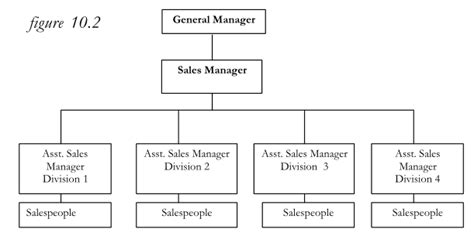 Basic Types Of Sales Organizational Structures Tutorial