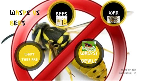 Wasps Vs Bees By Luis Terrazas On Prezi