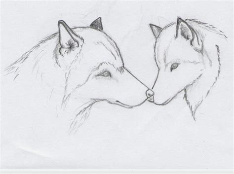 Cool Easy Wolf Drawings
