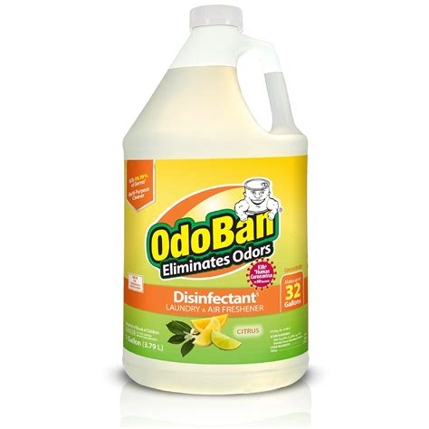 Buy Odoban Disinfectant Concentrate And Odor Eliminator 1 Gallon