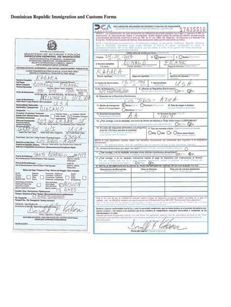 dominican republic immigration form fill online printable fillable blank pdffiller