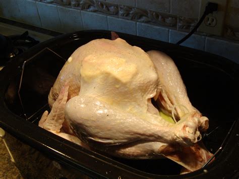 how to cook a turkey in a roaster oven women living well