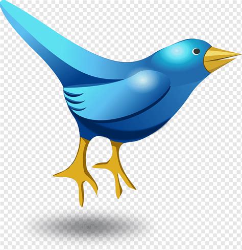Twitter Tweet Vogel Lustig Süß Blau Messaging Sozial Tier Png