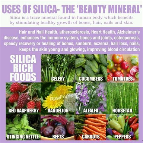 The Benefits Of Silica Are Endlessim In Love With Images Health Natural Healing