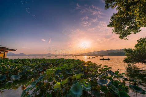 Sunset At West Lake In Hangzhou China Stock Photo Image Of Famous