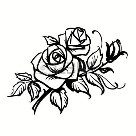 White Rose Outline Black
