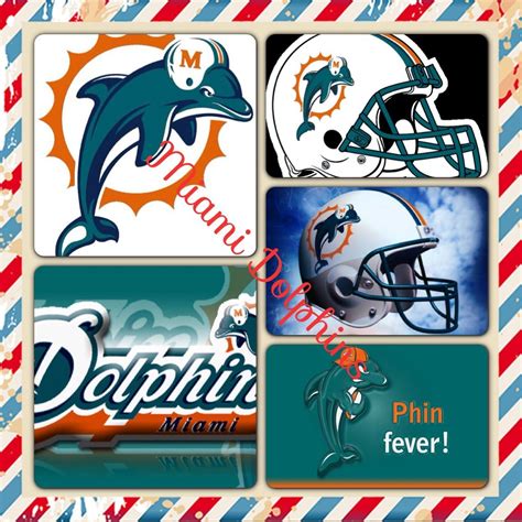 Dolphin fans | Miami dolphins wallpaper, Miami dolphins, Dolphins
