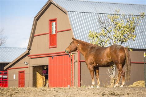 A Memorable Kalispell Horse Property Glacier Sothebys International