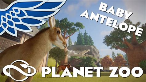 Planet Zoo Baby Antelope Lets Play Episode 7 Youtube