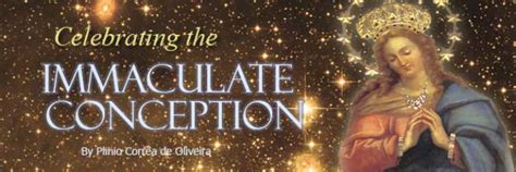 4,628 likes · 1,140 talking about this · 1,158 were here. Celebrating The Immaculate Conception | Our Blessed Mother ...