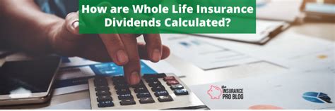 Amica offers two types of policies: How are Whole Life Insurance Dividends Calculated?