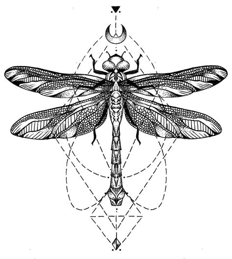 Pin By Rosie Mcdonnell On Body Art Dragonfly Tattoo Design Dragonfly