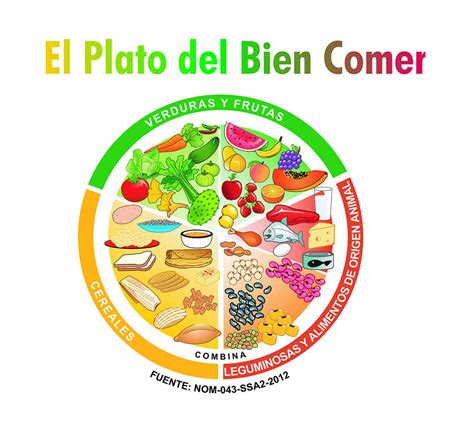 Plato Del Bien Comer Definición Y Guía Para Usar Esta Herramienta Nutricional