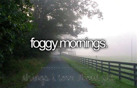 The Fog Foggy Morning Foggy Little Reasons To Smile