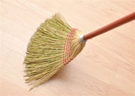 Types Of Brooms Uses Bristles And Benefits Designing Idea