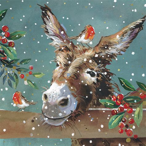 Donkey And Robin Charity Christmas Cards Pack Of 10 Natural