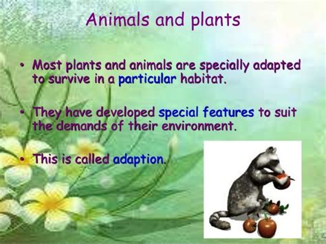 Adaptations In Animals And Plants