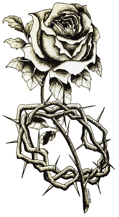 Crown Of Thorns Drawing At Explore Collection Of
