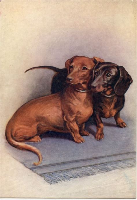 Pin By Nicole K On Favorite Decoupage Images Vintage Dachshund Puppy