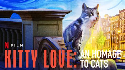 Netflixs Kitty Love An Homage To Cats Review Cute Cuddly And Lots