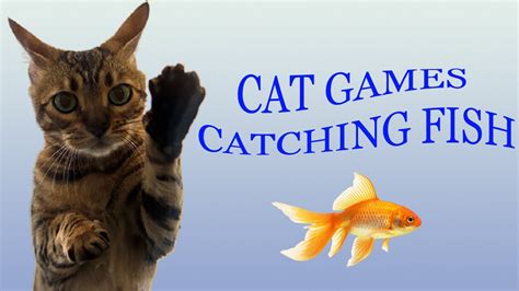 Cat Games Catching Fish Videos For Cats To Watch 4k Youtube