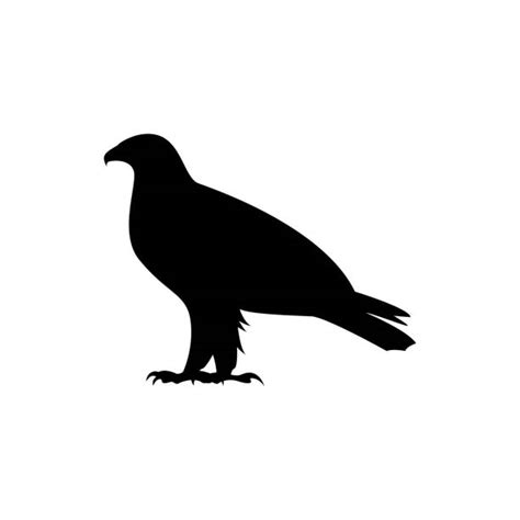 2400 Eagle Heads Silhouette Stock Photos Pictures And Royalty Free