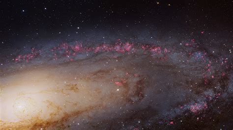Photos Galaxie Dandromède M31 Encadrées
