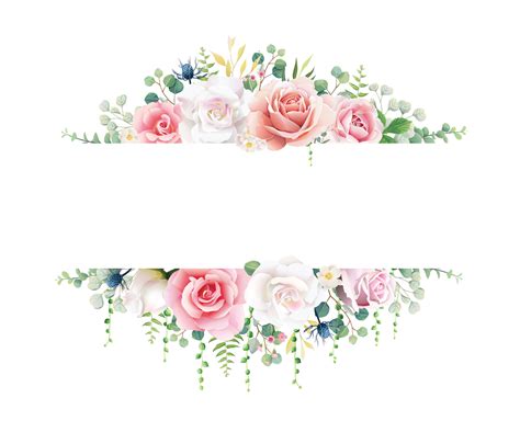 Pink And White Rose With Greenery Banner On White Background Beautiful