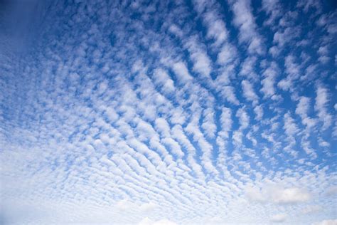 Best Cirrocumulus Stock Photos Pictures And Royalty Free Images Istock
