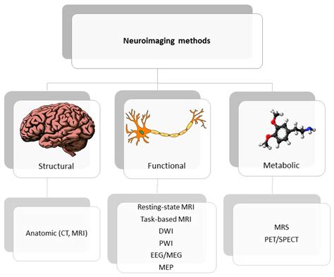 Neuroimaging Techniques Dedicated To Stroke Encyclopedia Mdpi
