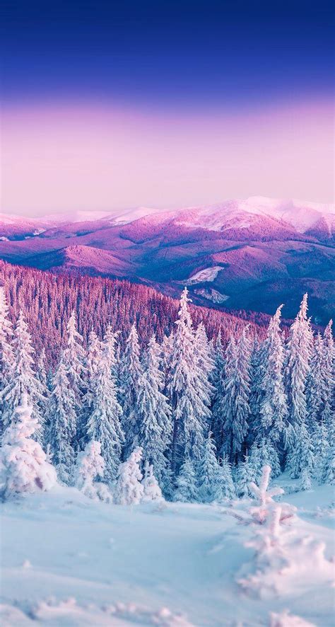 27 Nature Aesthetic Winter Desktop Wallpaper Basty Wallpaper