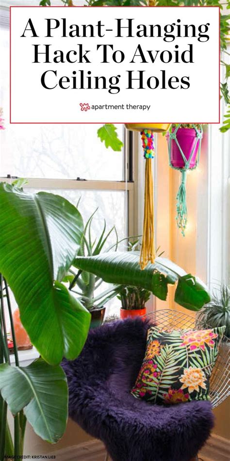 This pot rack includes six swivel hooks that can be turned 360 degrees. The Renter Friendly Solution for Hanging Plants Without ...