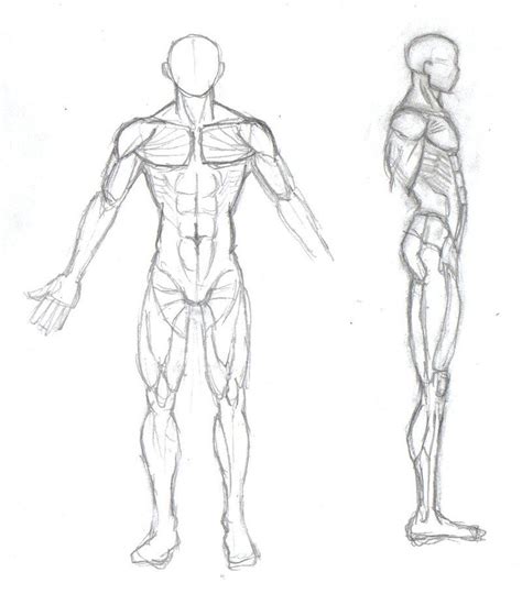 Female Human Body Sketch Body Base By Michelle Mystery On Deviantart Bodemawasuma