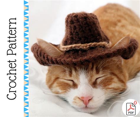 Crochet Pattern Cowboy Hat For Cats With Ear Holes Pdf Etsy
