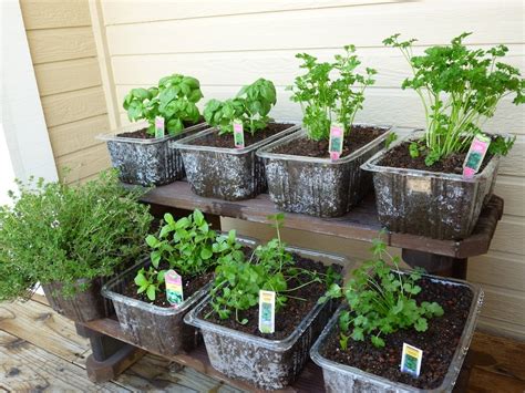 Planning to create your own garden hot tub retreat? Foods For Long Life: Plant Your Own Herb Garden In ...
