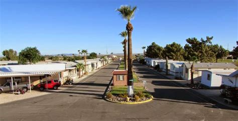Same or next day delivery · hand delivery guaranteed Florist Yuma Az Foothills - Job interview questions and ...