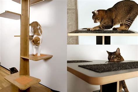 Spoil Your Lovely Cats With Contemporary Cat Furniture Homesfeed