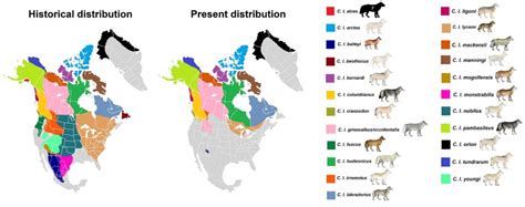 1gray Wolf Subspecies Distribution 1944 Vs 2005 Fissi