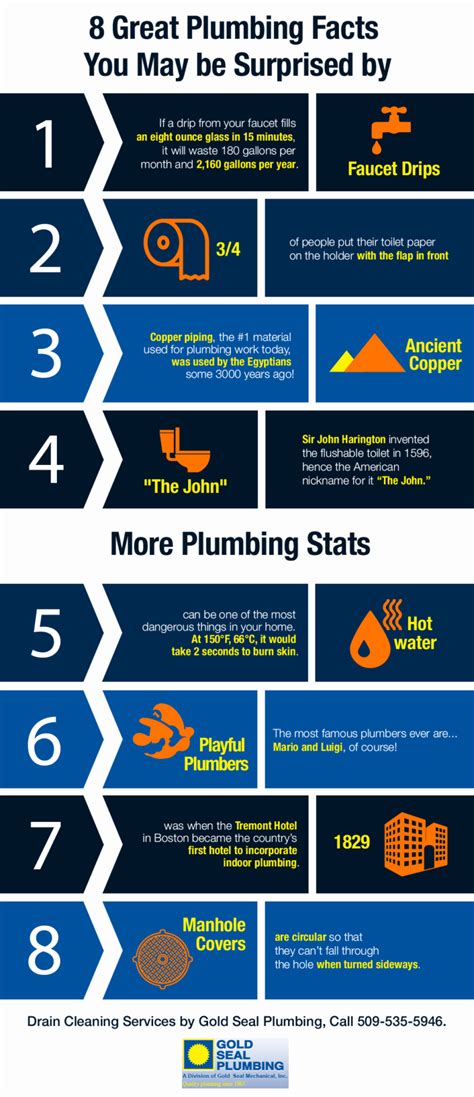 8 Great Plumbing Facts You May Be Surprised By Shared Info Graphics