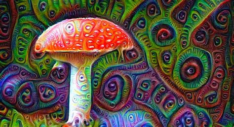 The Psychedelic Renaissance The Promise Of Psychedelics For Mental